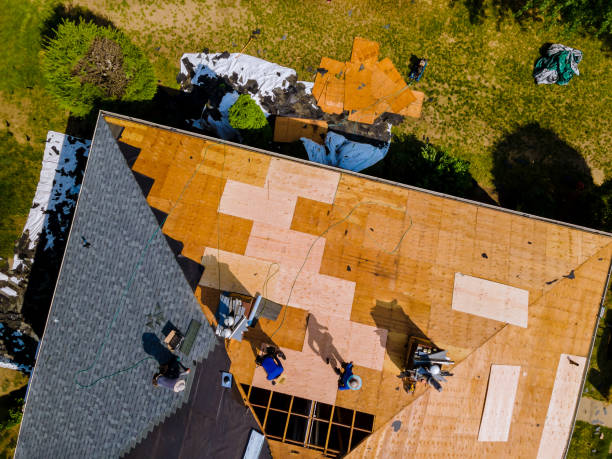Best Flat Roof Repair Services  in Bexley, OH